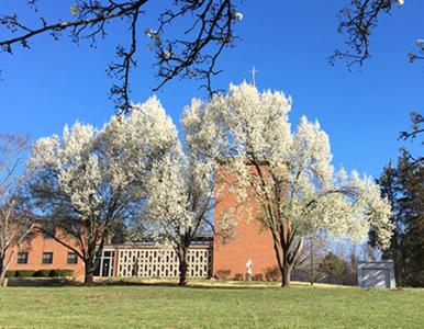 Spring Returns to the Liguori Publications Campus Spring Returns to the Liguori Publications Campus