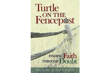 Turtle on the Fencepost