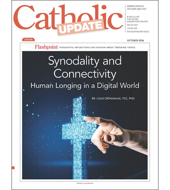 Synodality and Connectivity