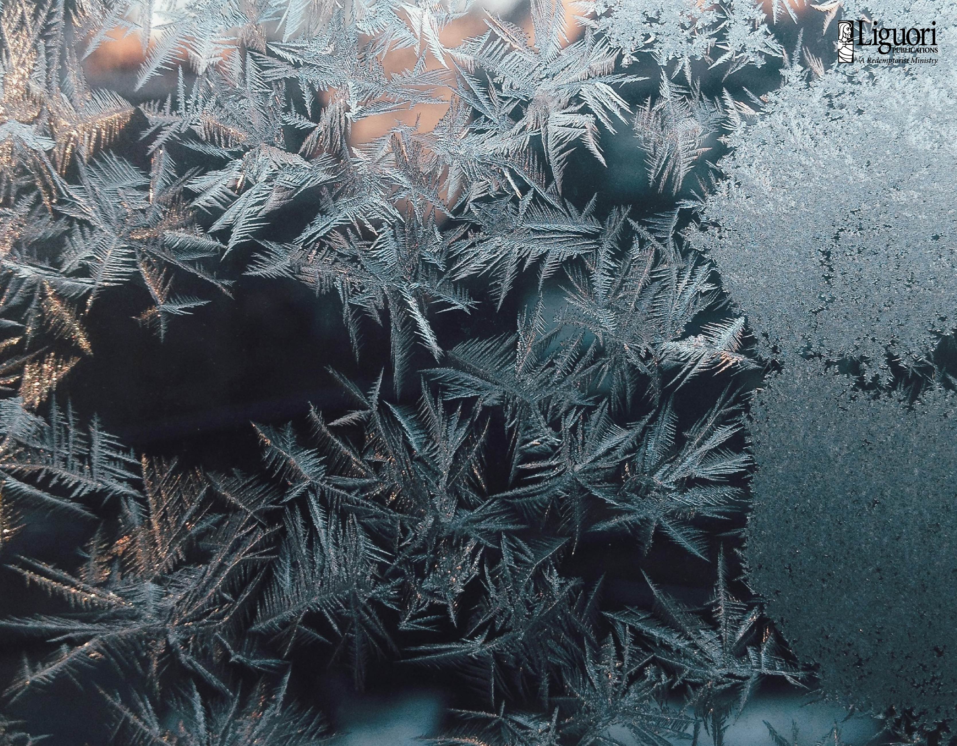 November 2025 News from Liguori Publications