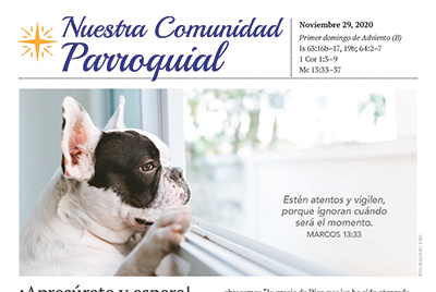 Our Parish Community Digital Bulletins Now Available in Spanish