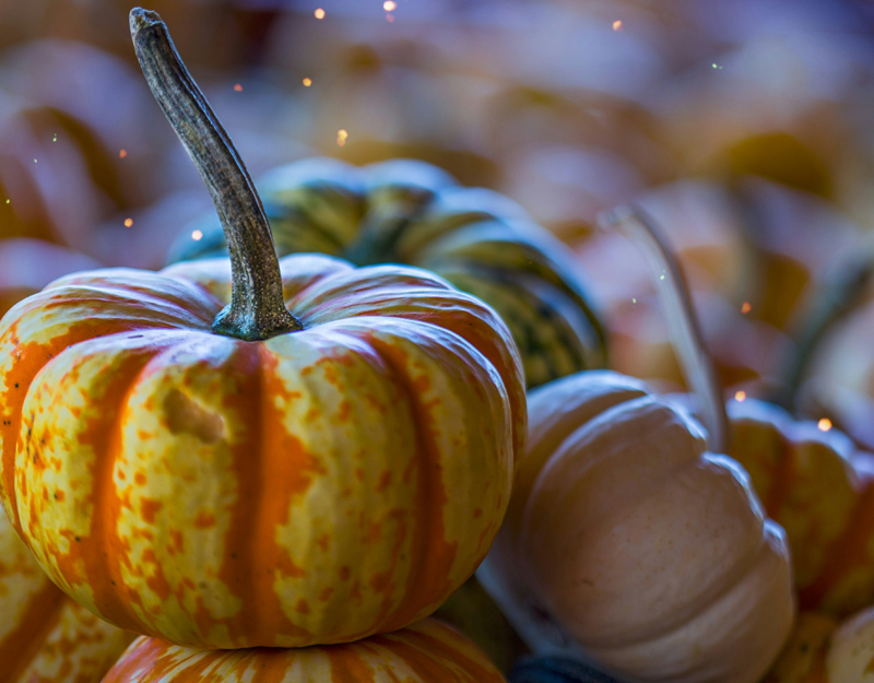Days of Thanksgiving